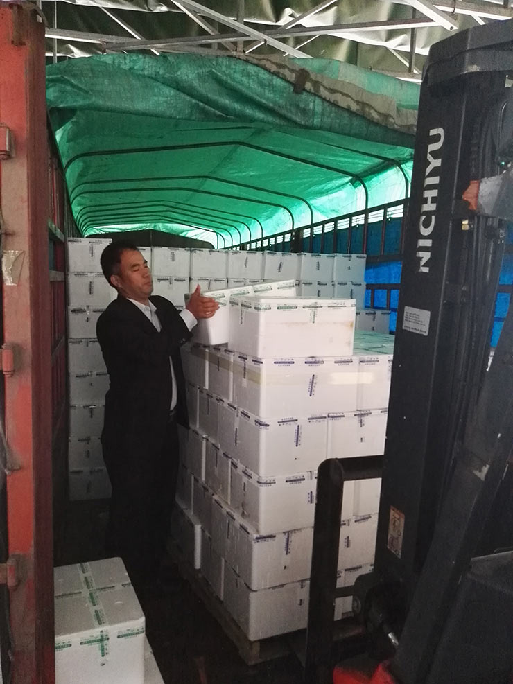 首页- 尊龙集团中国官网入口