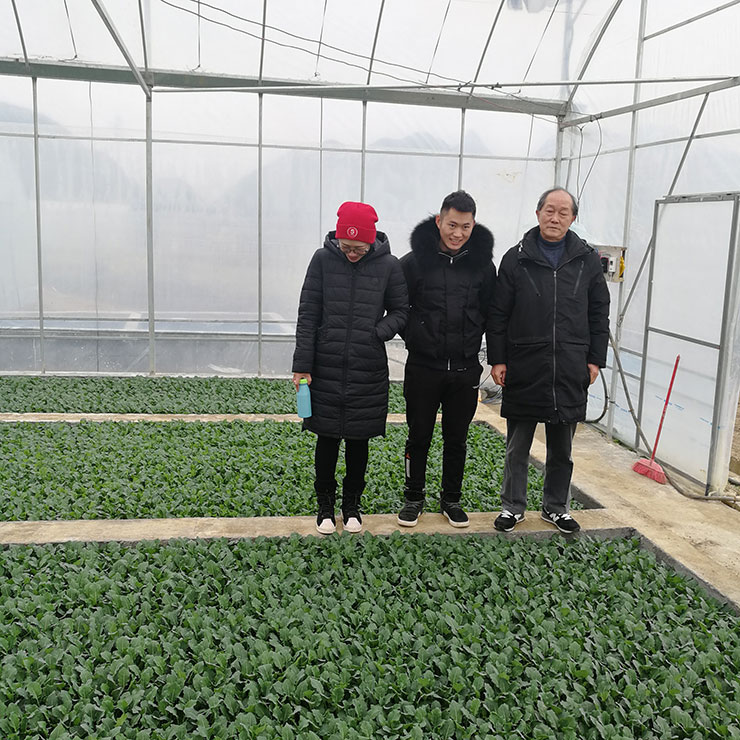 首页- 尊龙集团中国官网入口