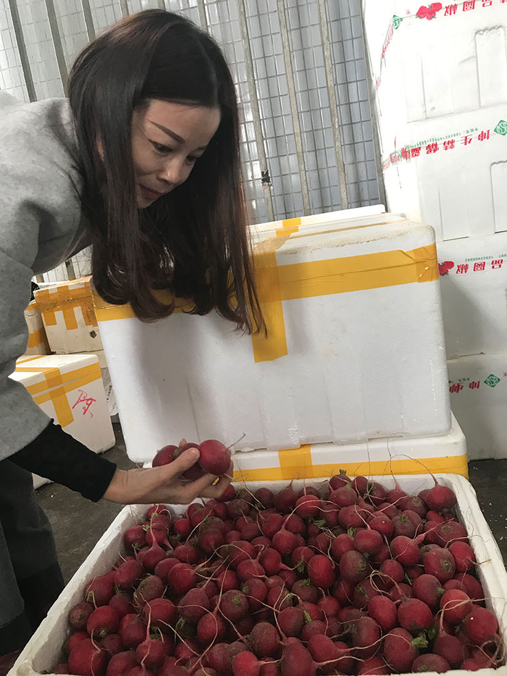 首页- 尊龙集团中国官网入口