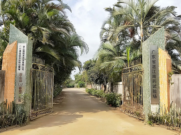 首页- 尊龙集团中国官网入口