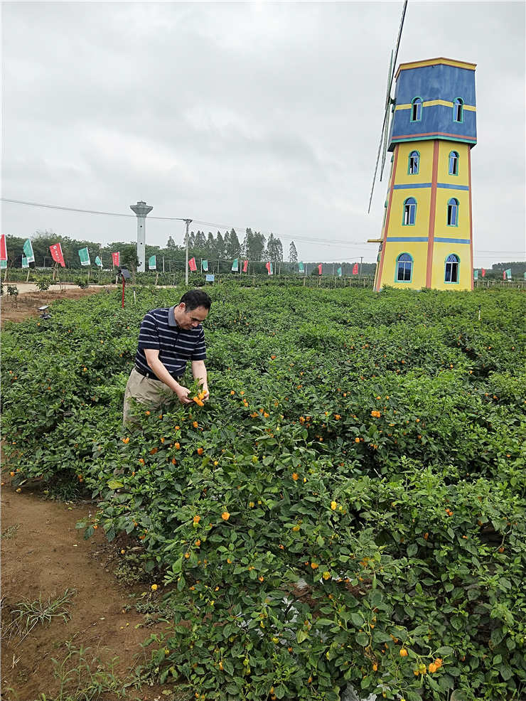 首页- 尊龙集团中国官网入口