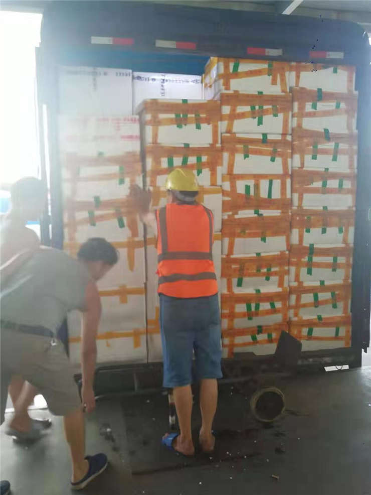 首页- 尊龙集团中国官网入口