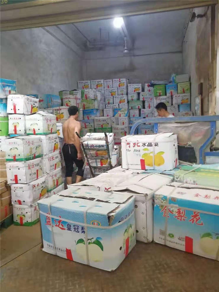 首页- 尊龙集团中国官网入口