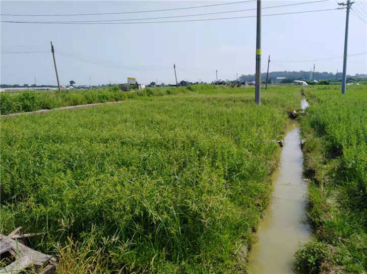 首页- 尊龙集团中国官网入口