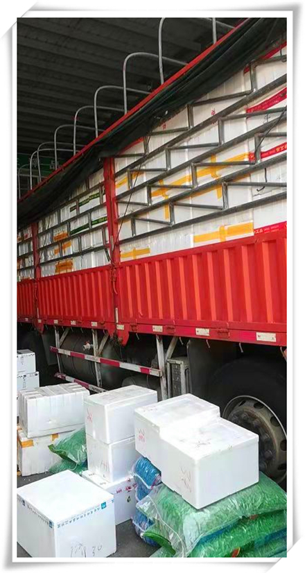 首页- 尊龙集团中国官网入口