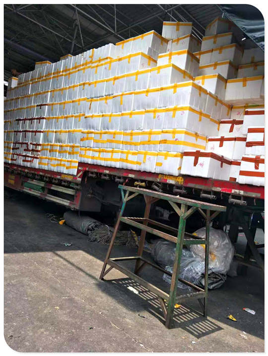 首页- 尊龙集团中国官网入口