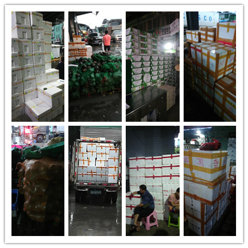 首页- 尊龙集团中国官网入口