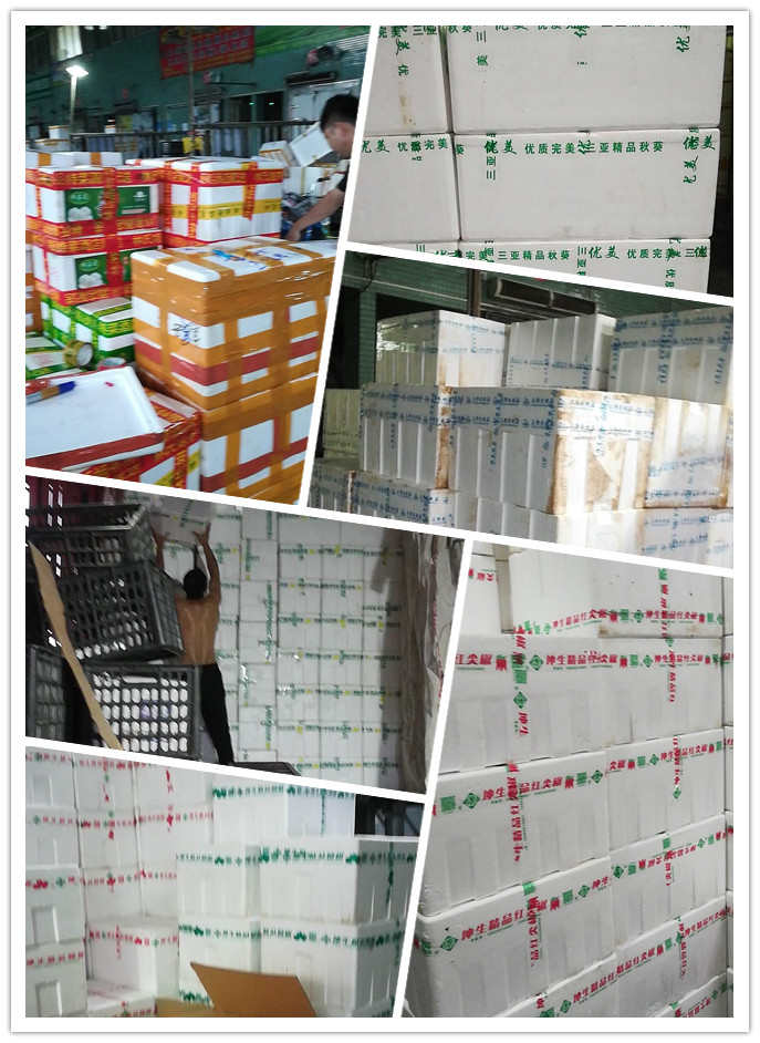 首页- 尊龙集团中国官网入口