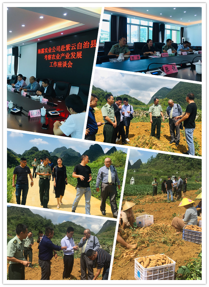 首页- 尊龙集团中国官网入口