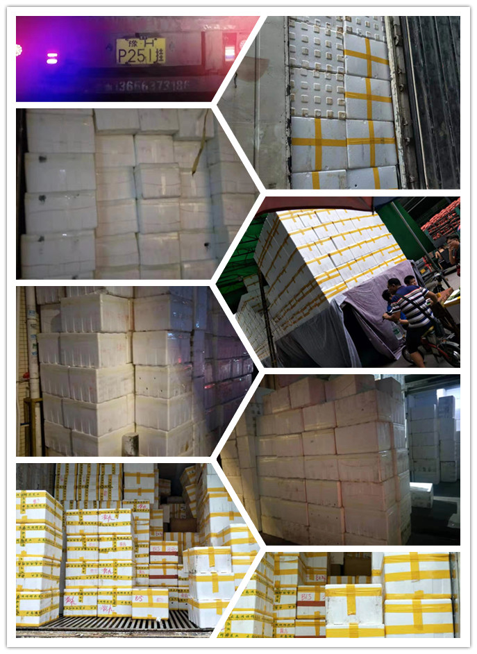 首页- 尊龙集团中国官网入口