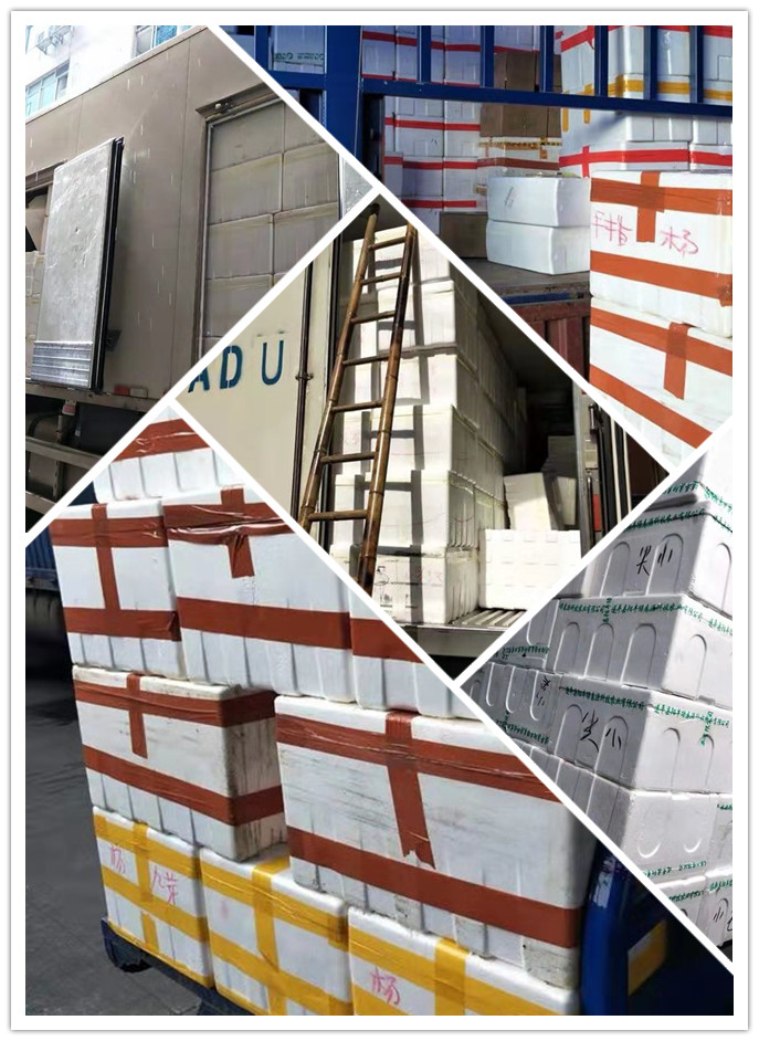 首页- 尊龙集团中国官网入口