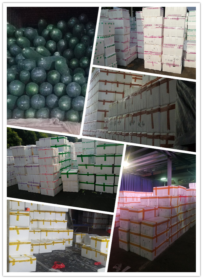 首页- 尊龙集团中国官网入口