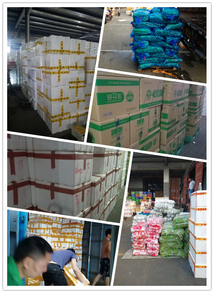 首页- 尊龙集团中国官网入口