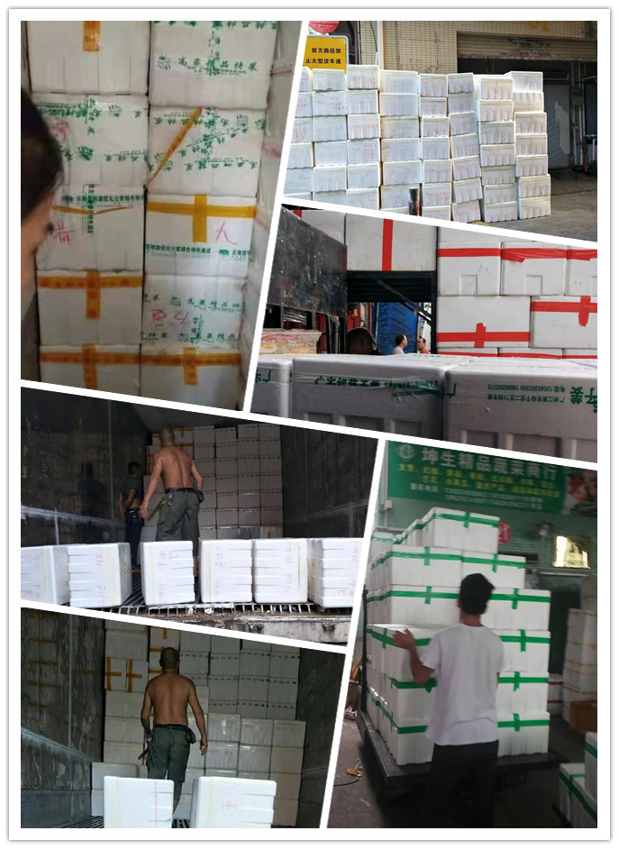 首页- 尊龙集团中国官网入口