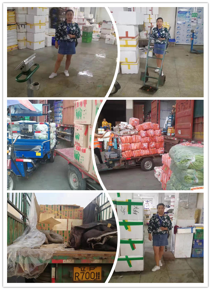 首页- 尊龙集团中国官网入口