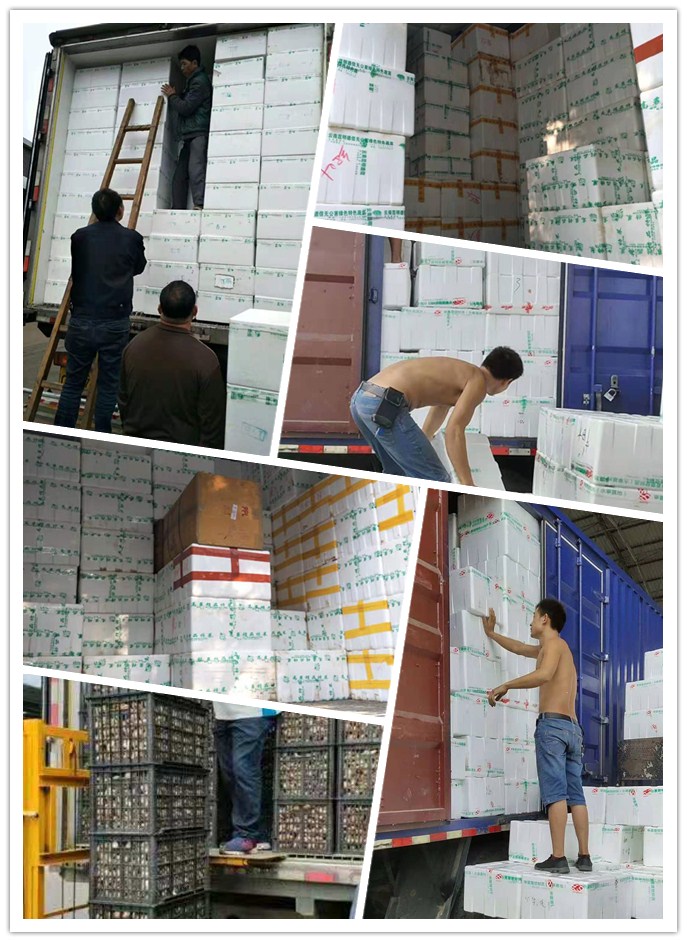 首页- 尊龙集团中国官网入口