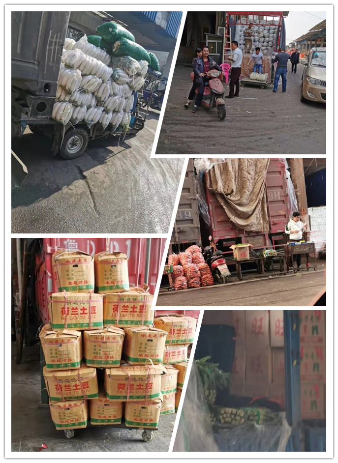 首页- 尊龙集团中国官网入口