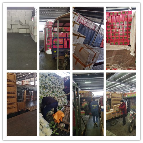 首页- 尊龙集团中国官网入口