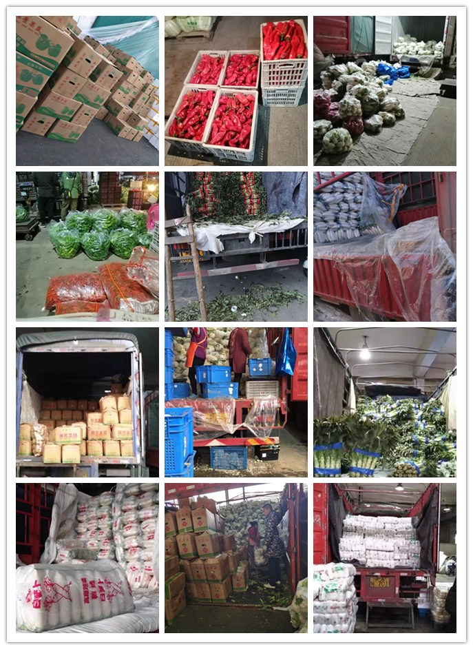 首页- 尊龙集团中国官网入口