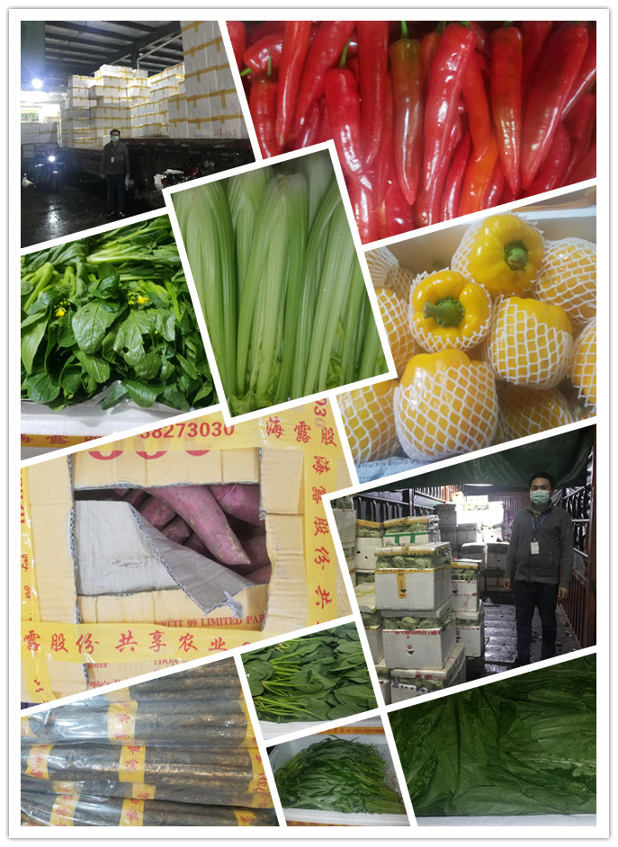 首页- 尊龙集团中国官网入口