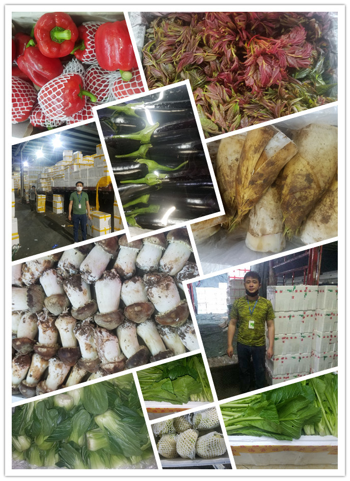 首页- 尊龙集团中国官网入口