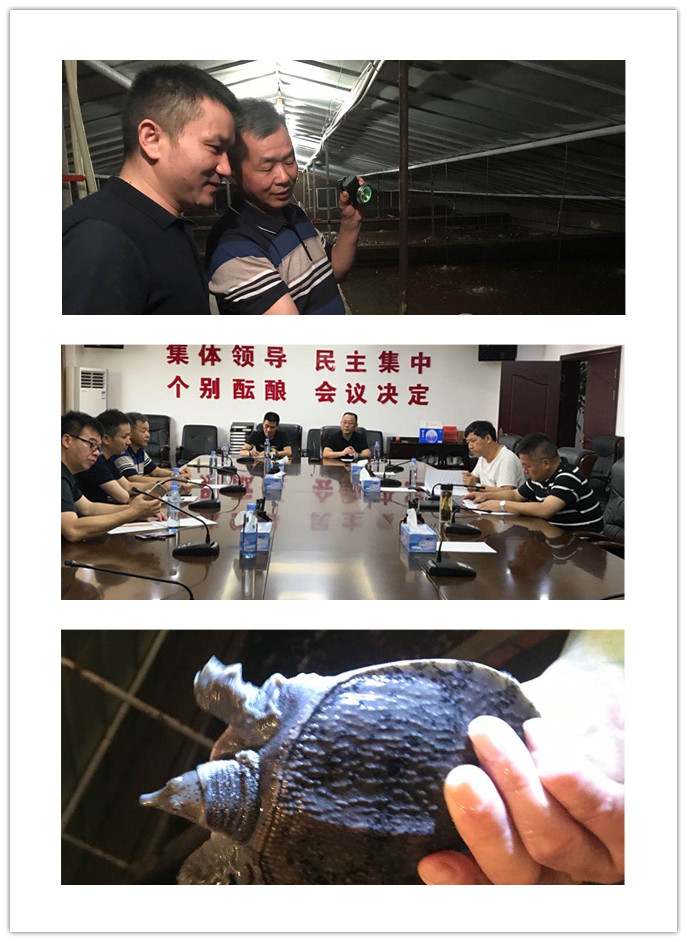 首页- 尊龙集团中国官网入口