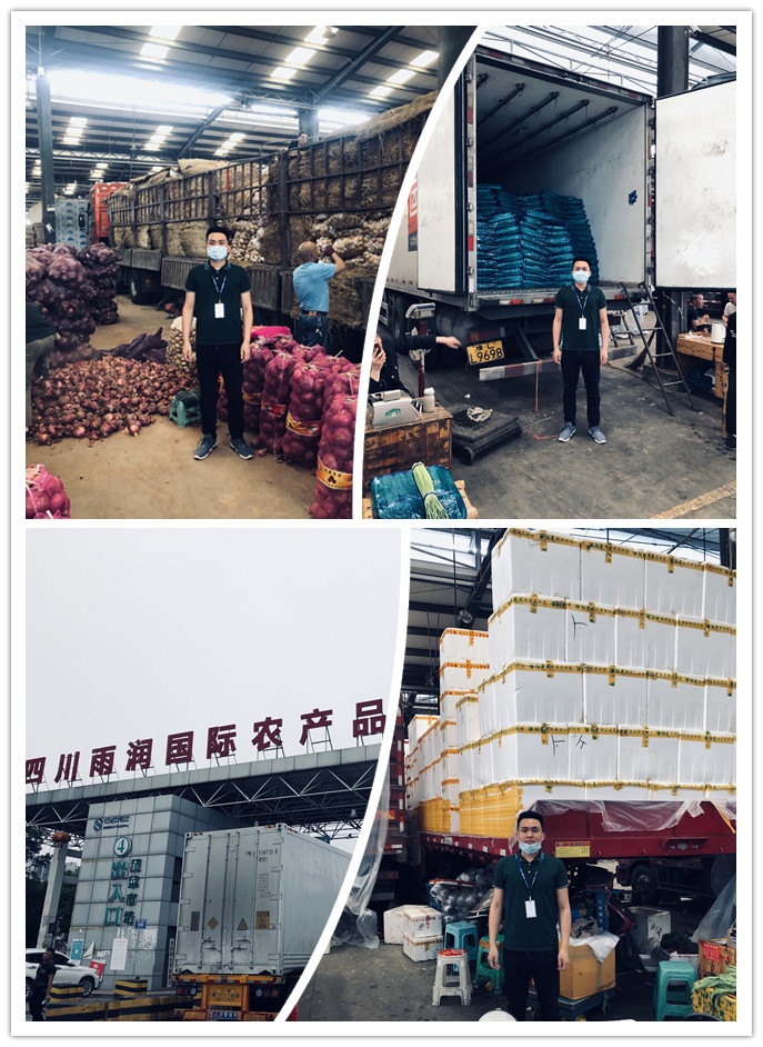 首页- 尊龙集团中国官网入口