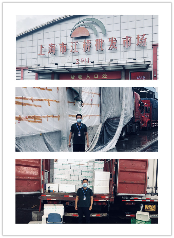 首页- 尊龙集团中国官网入口