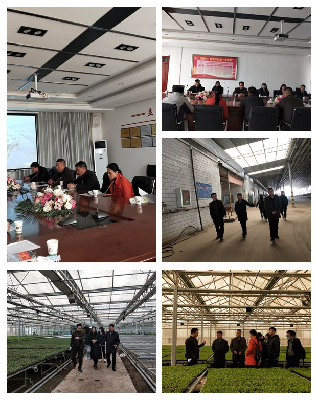 首页- 尊龙集团中国官网入口