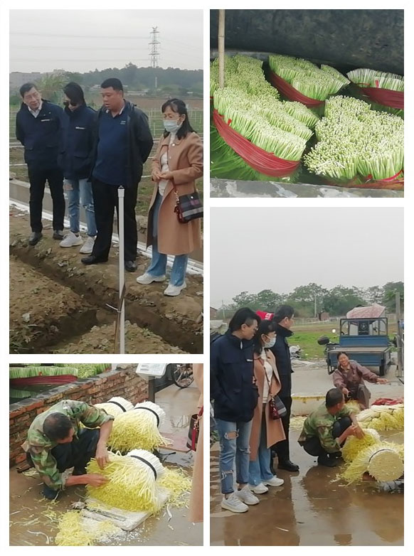 首页- 尊龙集团中国官网入口