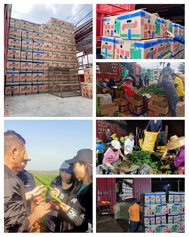 首页- 尊龙集团中国官网入口