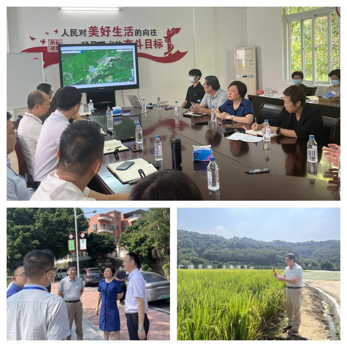 首页- 尊龙集团中国官网入口