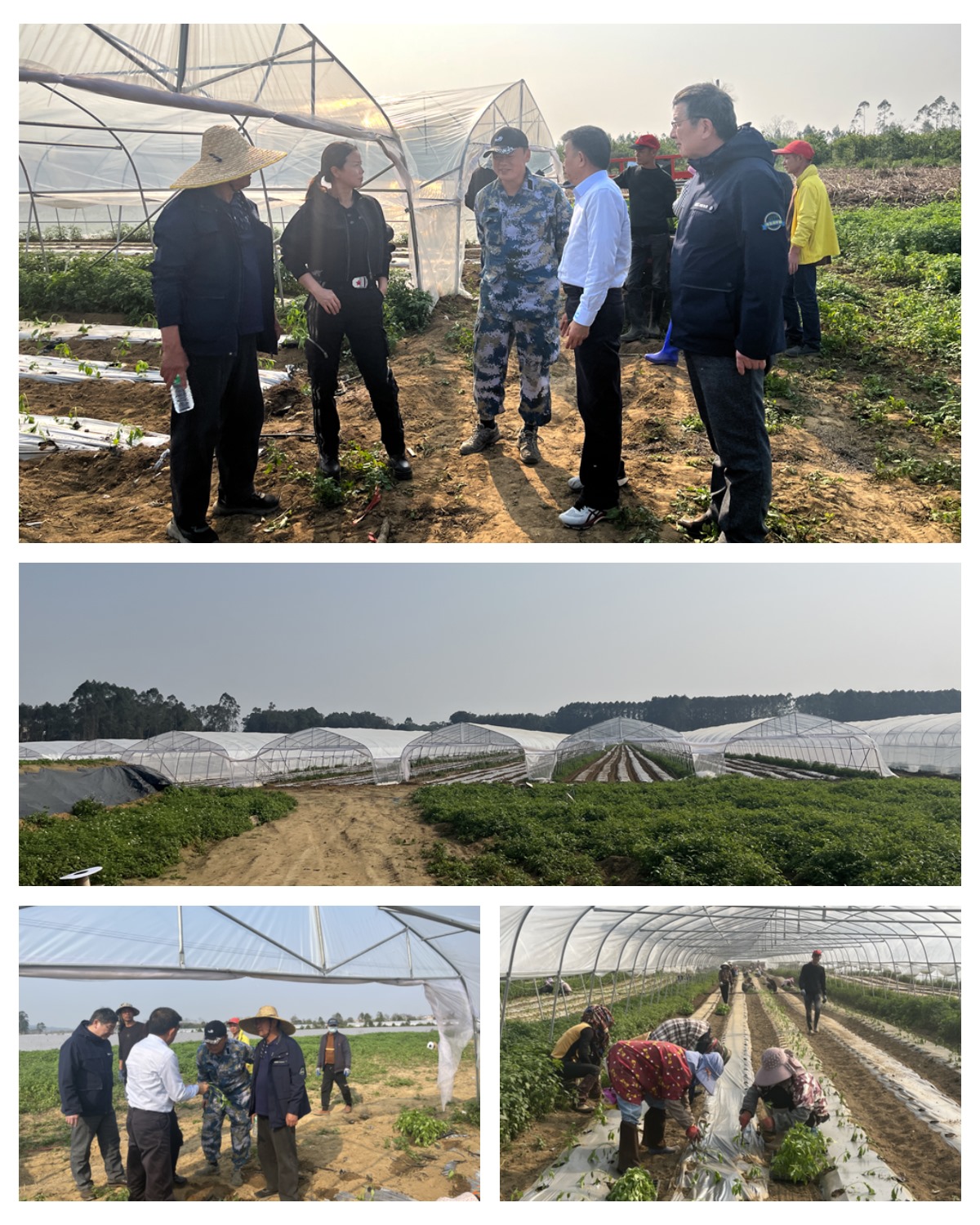 首页- 尊龙集团中国官网入口