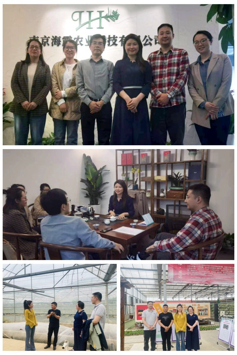 首页- 尊龙集团中国官网入口