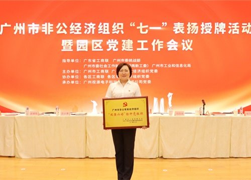 标杆引领，荣誉升级！集团党支部荣膺广州市非公有造经济组织“双强六好”标