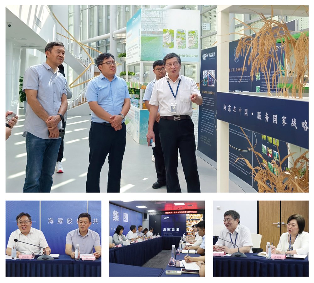 首页- 尊龙集团中国官网入口